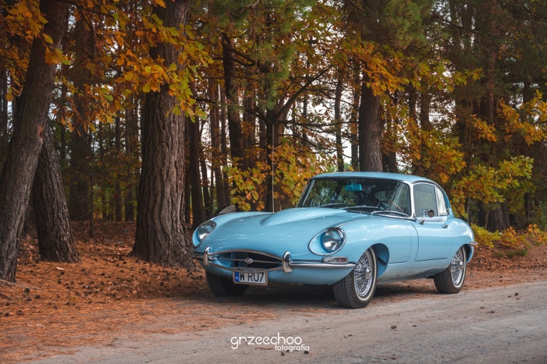Motoryzacja